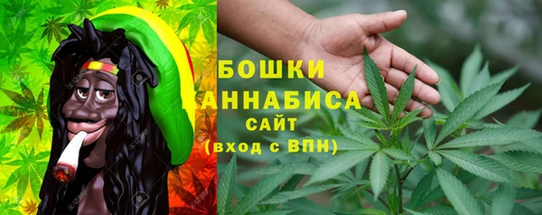 ГАЛЛЮЦИНОГЕННЫЕ ГРИБЫ Вязники